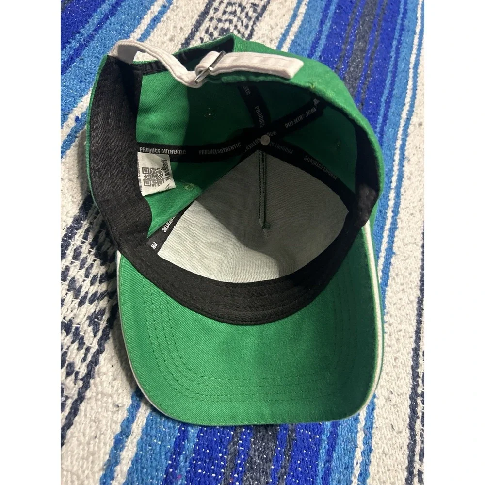 Puma se palmeiras